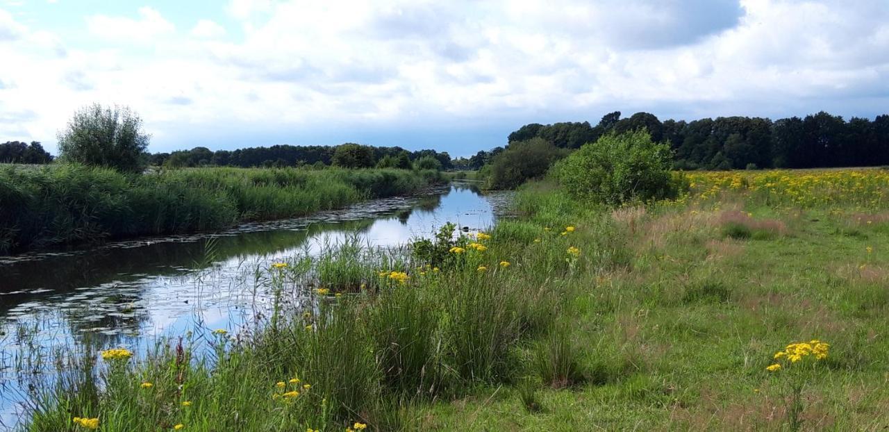 Slaaphuisjes Op Wielen Buitenwedde Westerwolde Ngoại thất bức ảnh