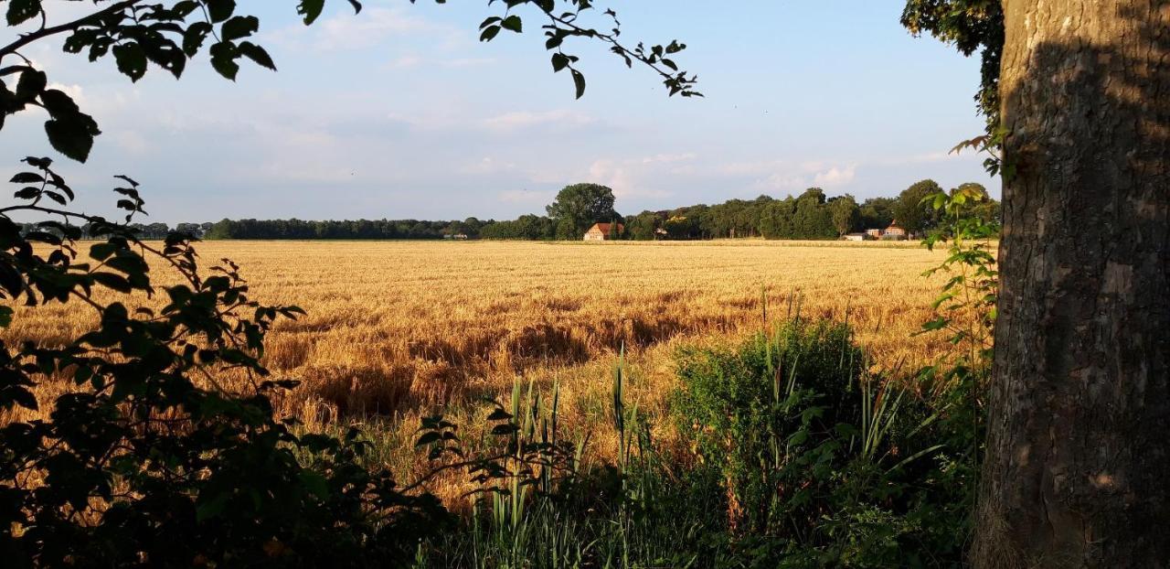 Slaaphuisjes Op Wielen Buitenwedde Westerwolde Ngoại thất bức ảnh
